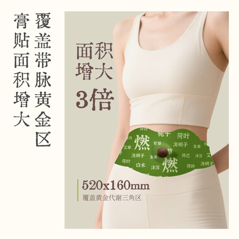 Mugwort Herbal Belly Slimming Patch Wormwood Moxibustion Navel Patch Warm Tummy Fat Burn Detox Body Toning SG SELLER