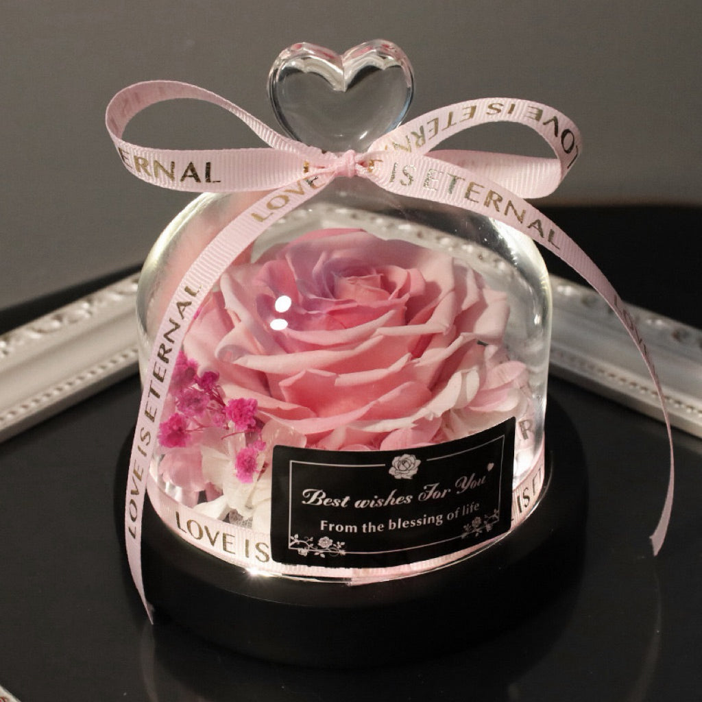 Eternal Preserved Rose Glass Dome with Heart Handle | Valentine’s Day & Mother’s Day Luxury Gift Set