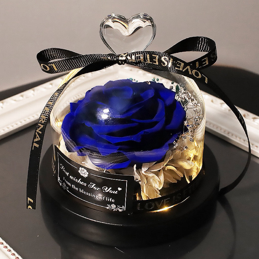 Eternal Preserved Rose Glass Dome with Heart Handle | Valentine’s Day & Mother’s Day Luxury Gift Set