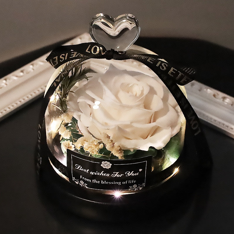 Romantic Preserved Rose Gift Box – 19 Eternal Roses + Light with Luxury Packaging | Red / Gradient Blue / White